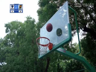 NBA常规赛 灰熊VS太阳 20231203