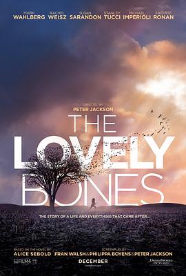 可爱的骨头 The Lovely Bones[电影解说]